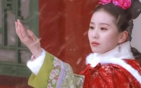 盘点影视剧中初雪名场面步步惊心和仙剑奇侠传三最经典仙剑奇侠传名场面